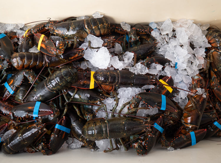 Summer Seafood Fridays