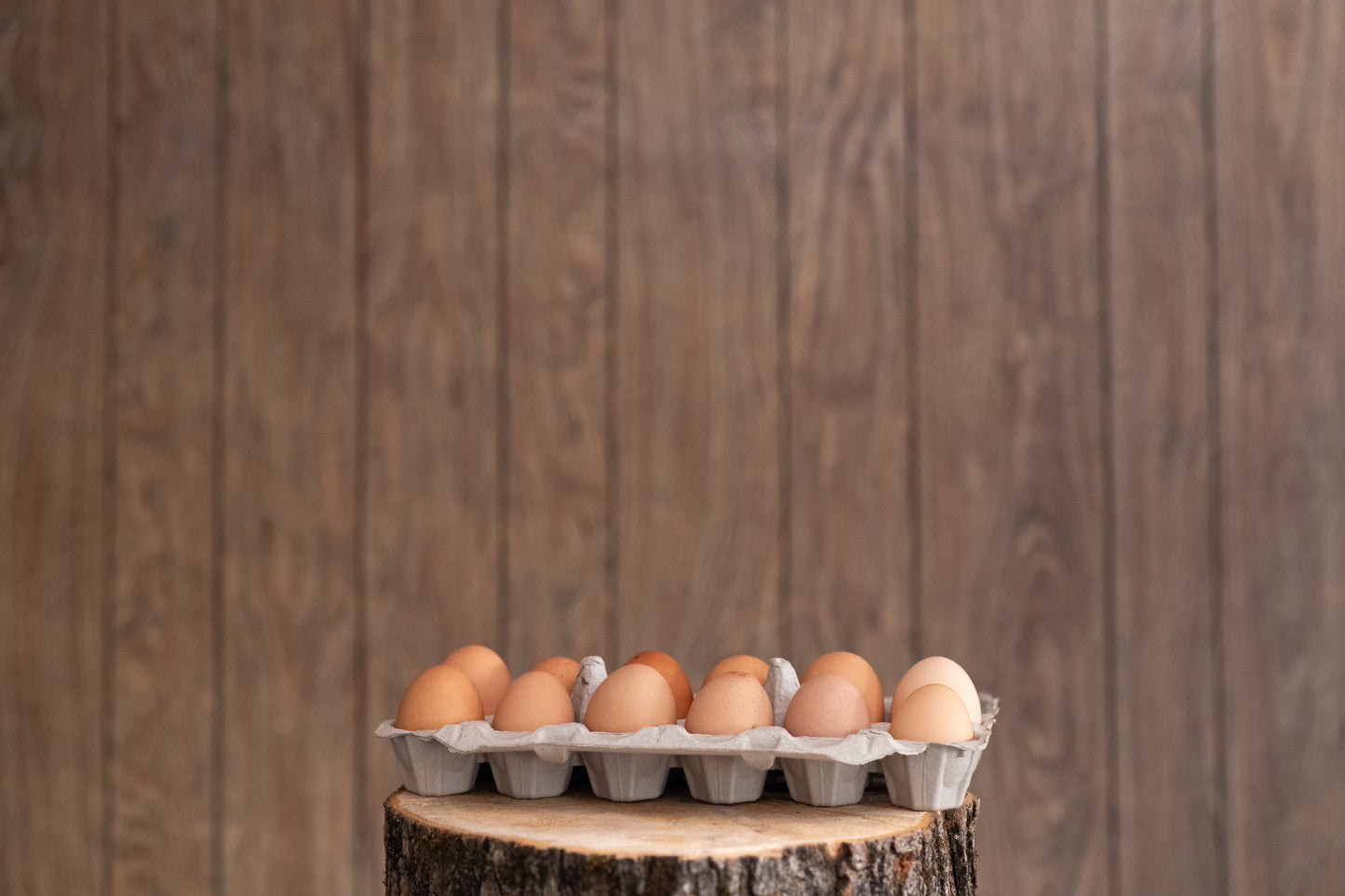 Eggs
