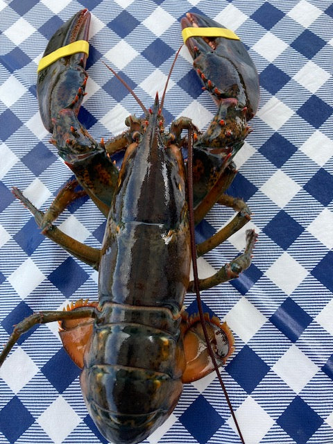 Seafood