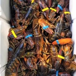 Seafood